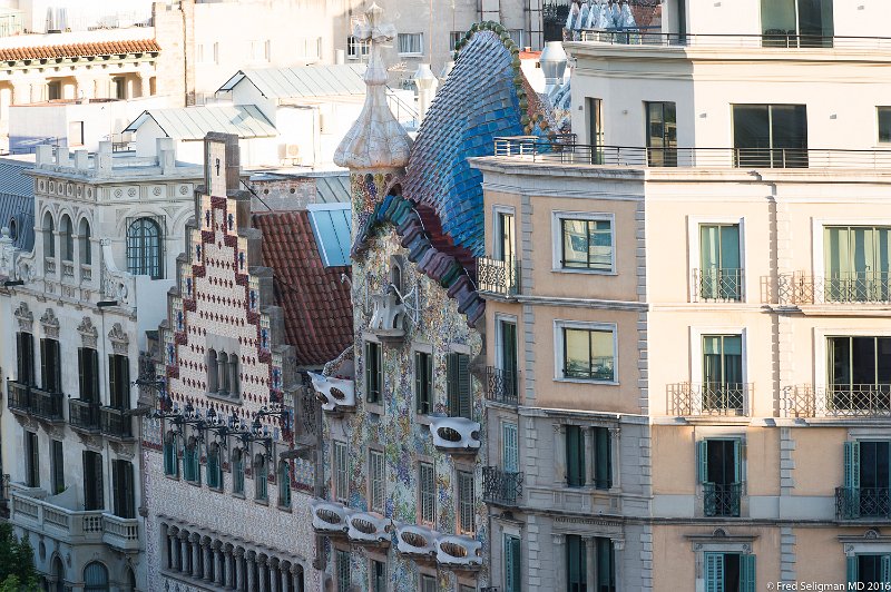 20160529_202418 D4S.jpg - Casa Batlló is the result of a total restoration in 1904 of an old conventional house built in 1877